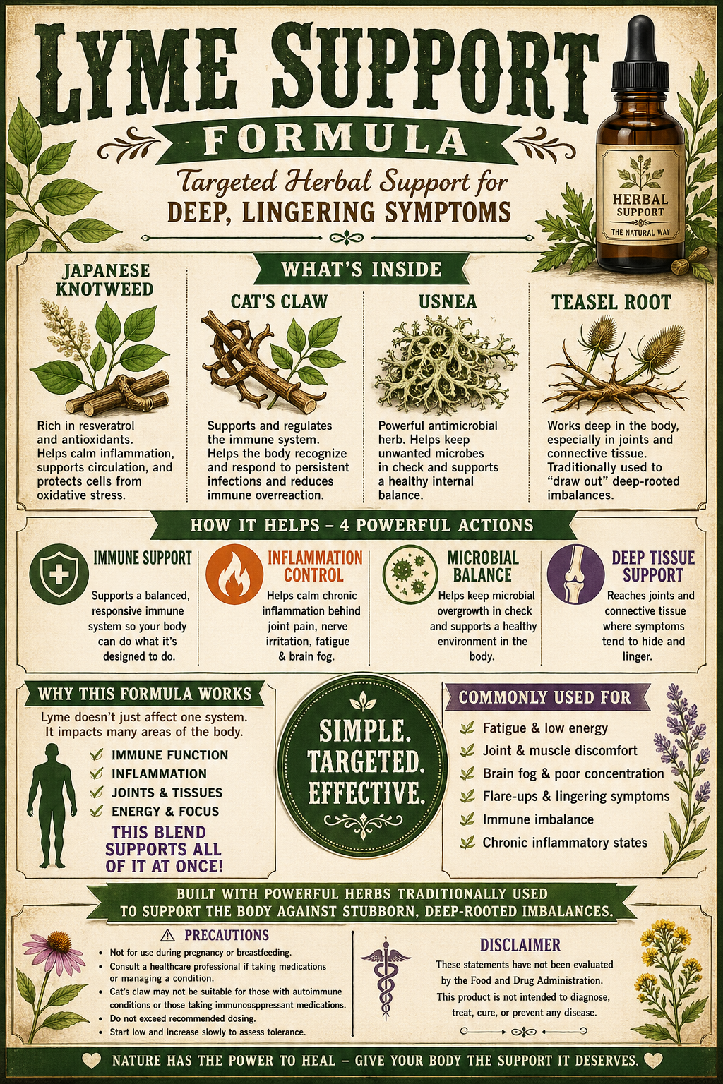 Lyme disease protocol