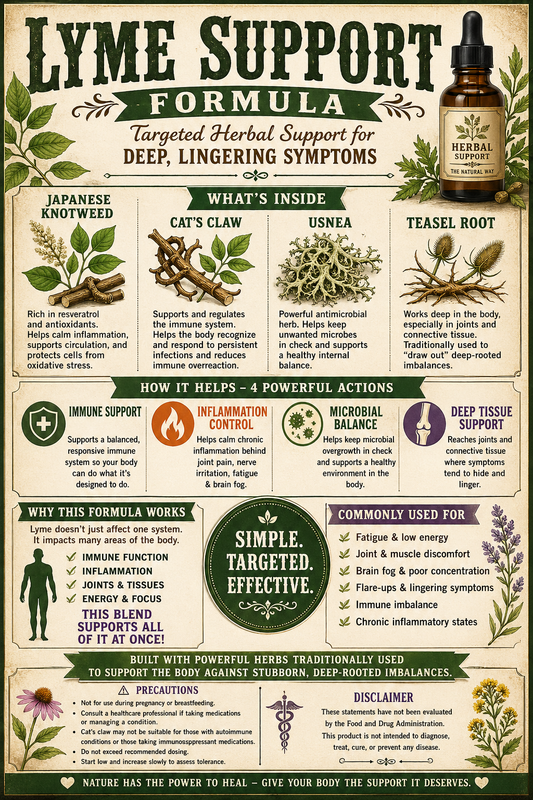 Lyme disease protocol