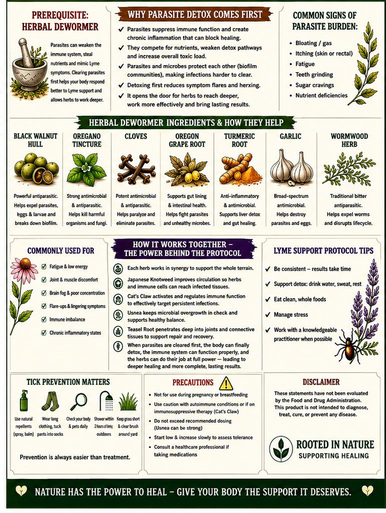 Lyme disease protocol with prerequisite